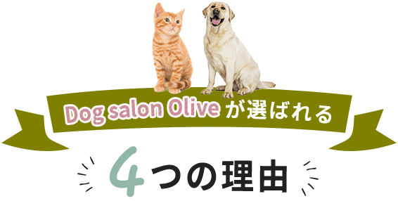 Dog salon Oliveが選ばれる4つの理由